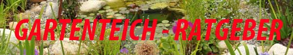 gartenteich-ratgeber