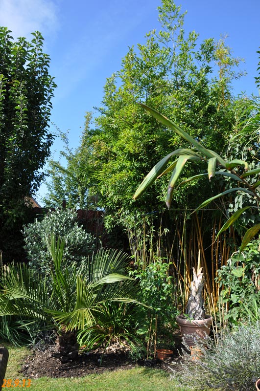 garten 2013