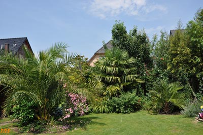 Exotengarten