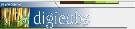 digicube.de